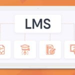 The Growing Importance Of LMS In Australia